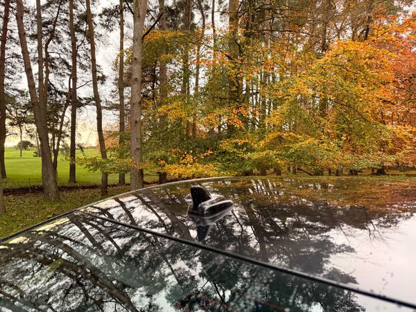 Audi A6 2020 TDI S Line Maxton Design 371859192