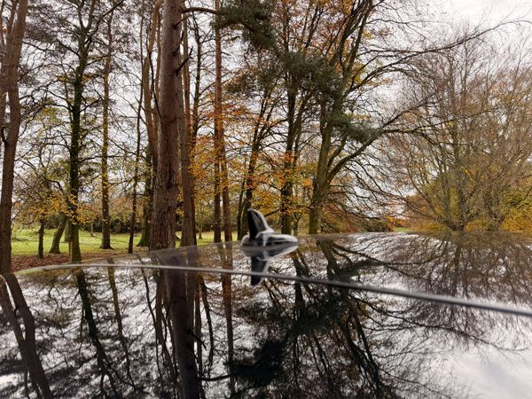 Audi e-tron 2021 50 Quattro 372354089