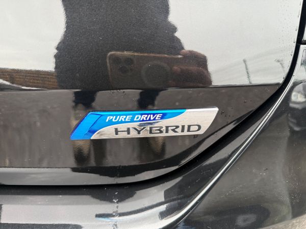 2016 Nissan X- Trail 2.0 Auto/Hybrid /Leather Spec 373596972