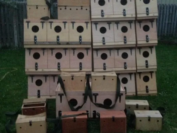 terrier box 5 All Sections Ads For Sale in Ireland DoneDeal