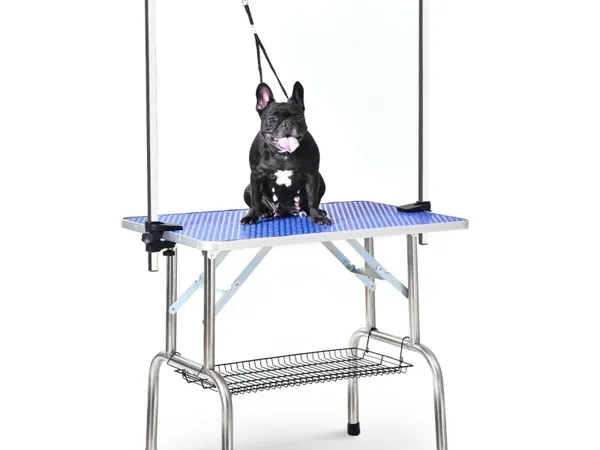 Second hand dog grooming equipment deals for sale