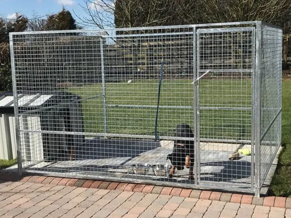 Galvanised dog pens and cages for sale in Co. Armagh for 1 234