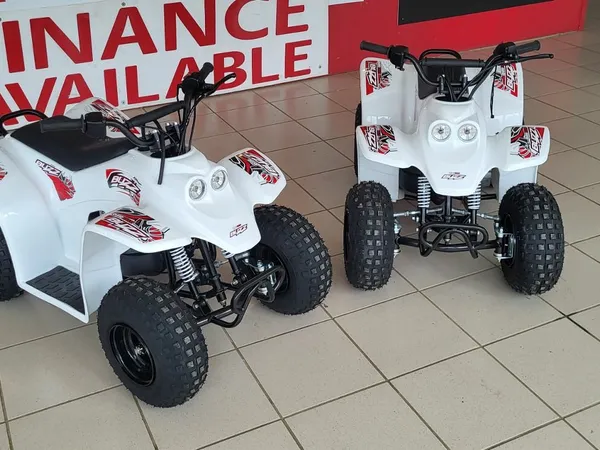 Quadzilla buzz 50cc for sale top