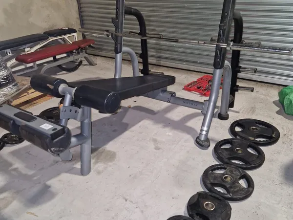 Legacy 295 best sale weight bench