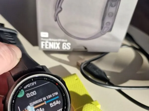 Garmin fenix best sale 6s pro spotify