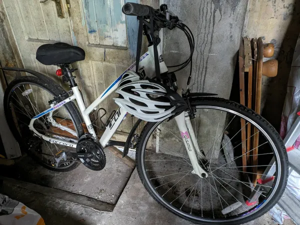 Woman s mountain bike for sale in Co. Limerick for 110 on DoneDeal