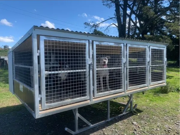 Dog kennels for 2025 sale done deal