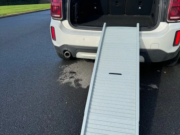 Dog ramps ireland hotsell