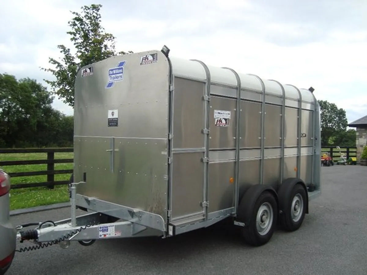 PK'S- IFOR WILLIAMS 12'X5'10'' TRAILER - Image 2