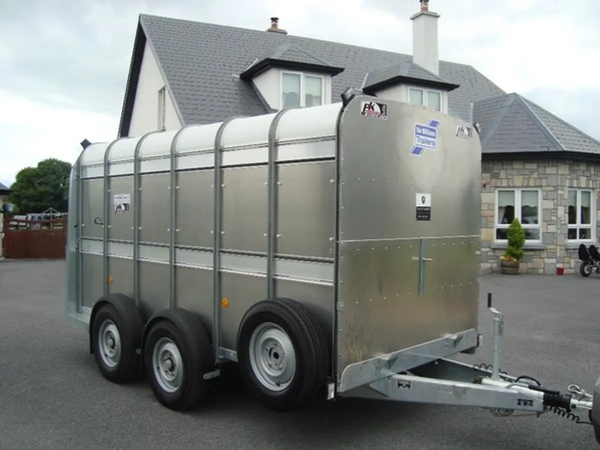 PK'S- IFOR WILLIAMS 12'X5'10'' TRAILER - Image 3