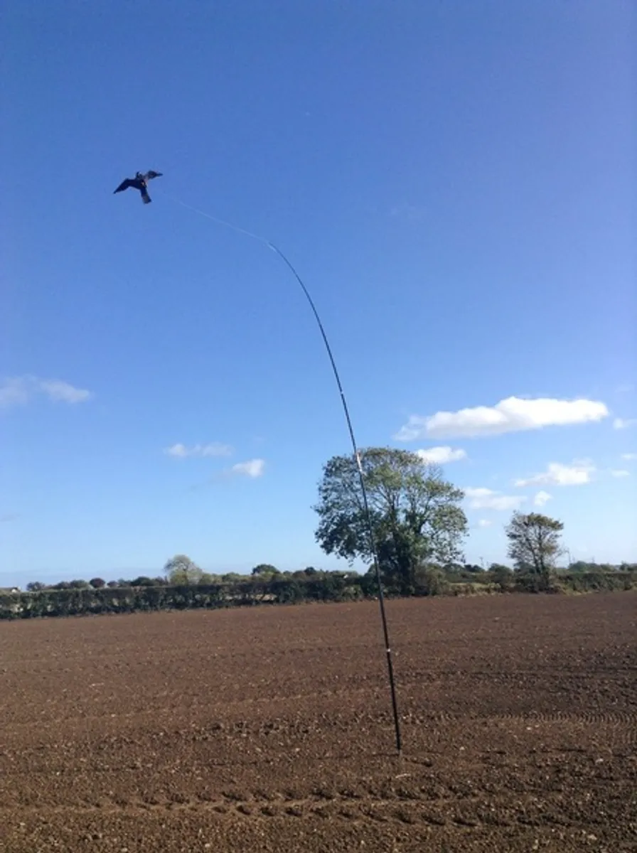 Crows and pigeons destroying your crops????