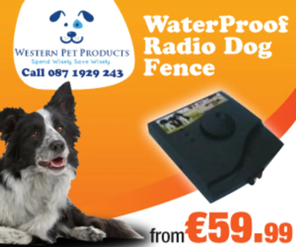 Waterproof radio Dog Fence, electric dog collar - Image 1