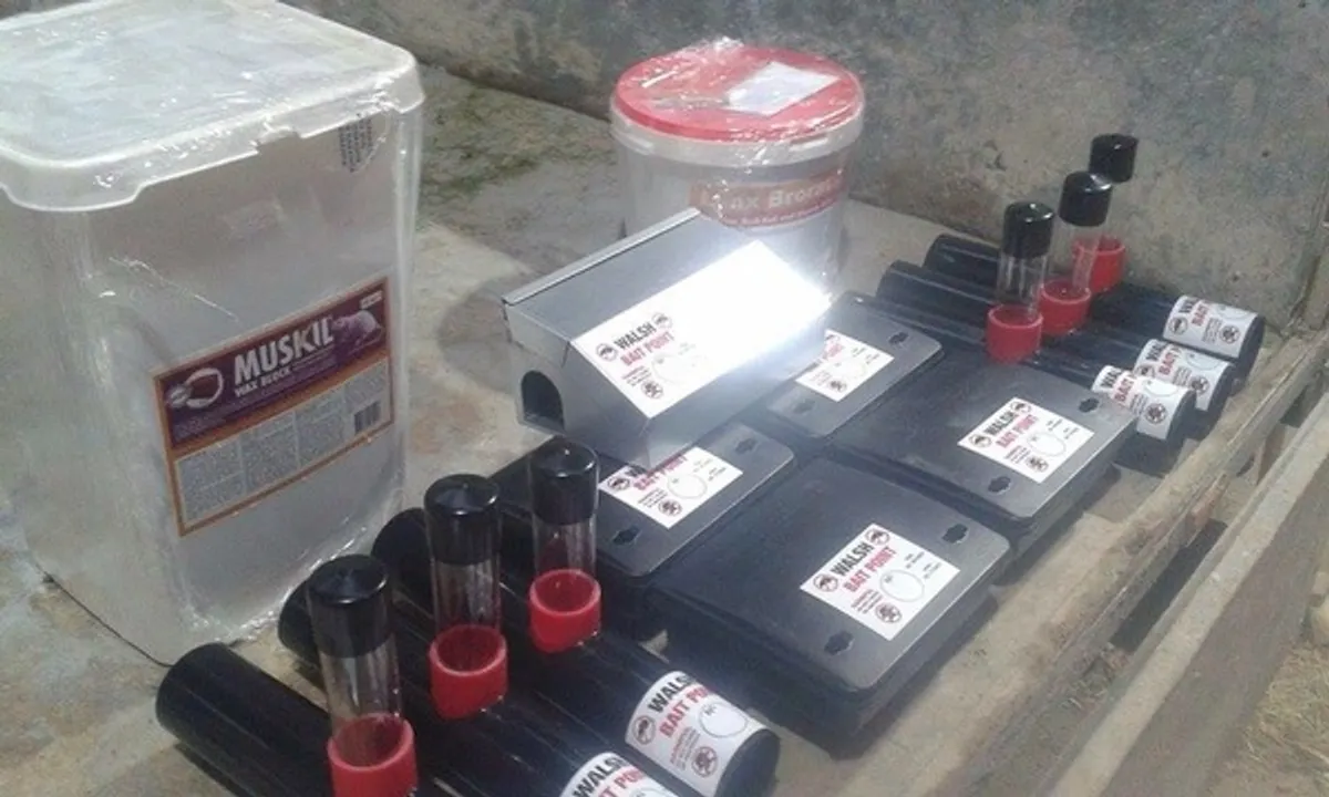 Rat killer / Rat Poison - Image 4
