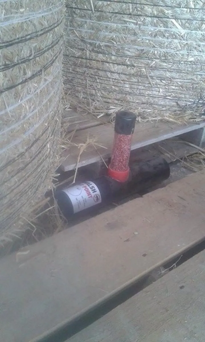 Rat killer / Rat Poison - Image 3