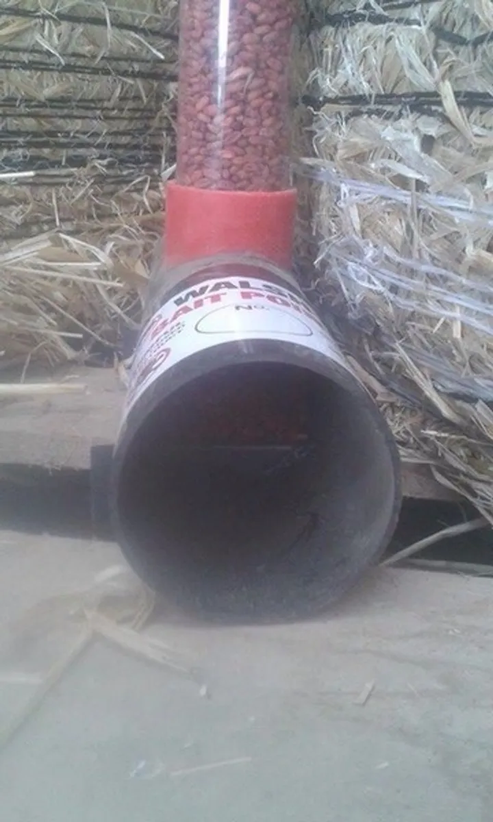 Rat killer / Rat Poison - Image 4