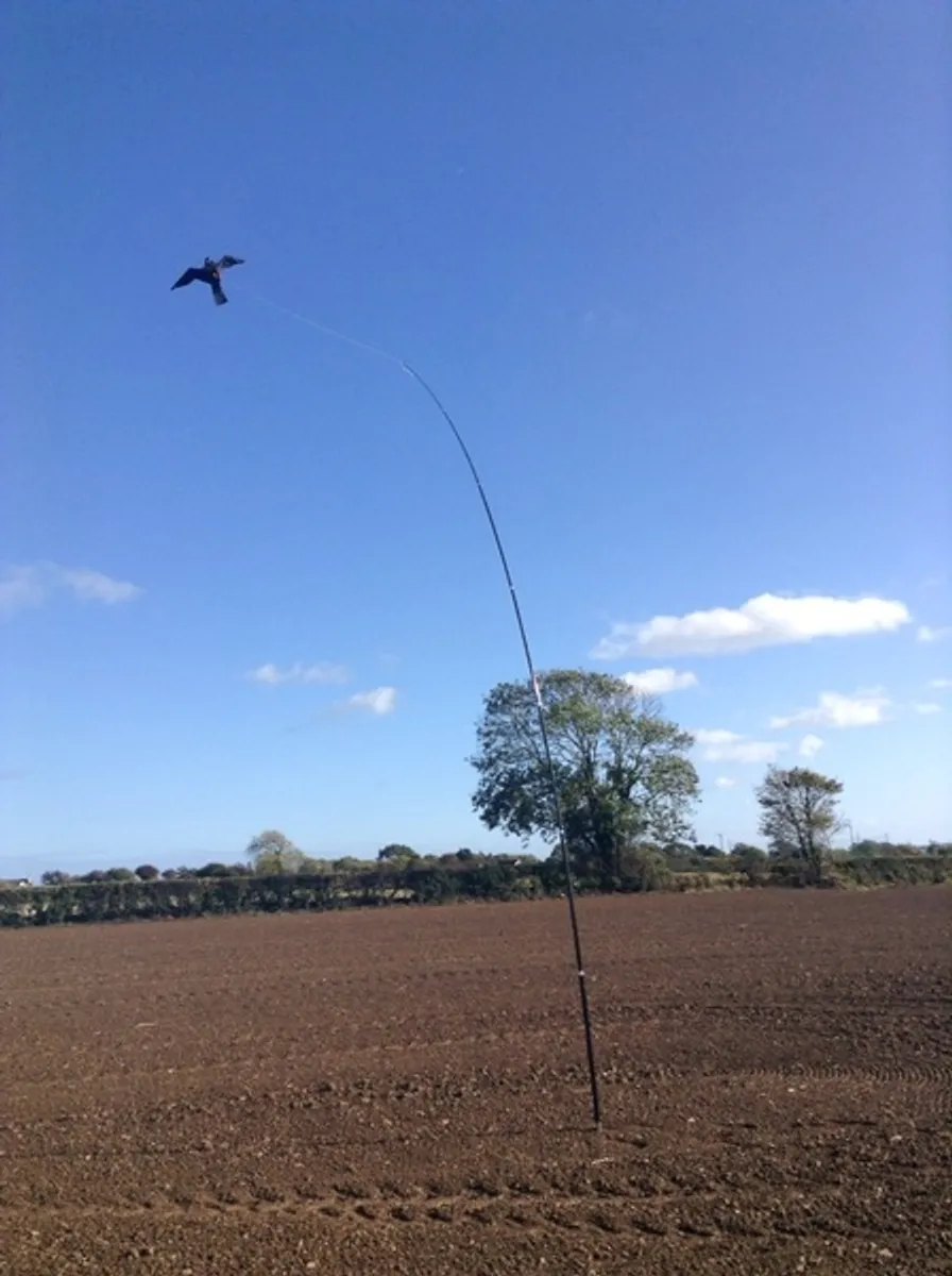 Crows and pigeons destroying your crops?????