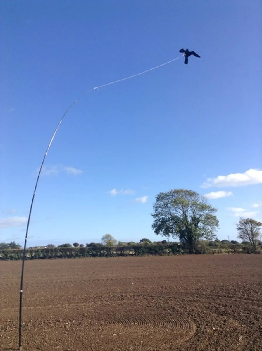 Crows and pigeons destroying your crops????? - Image 3