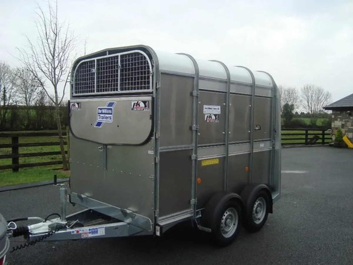 PKS IFOR WILLIAMS 8'X5'.LIVESTOCK TRAILER - Image 2