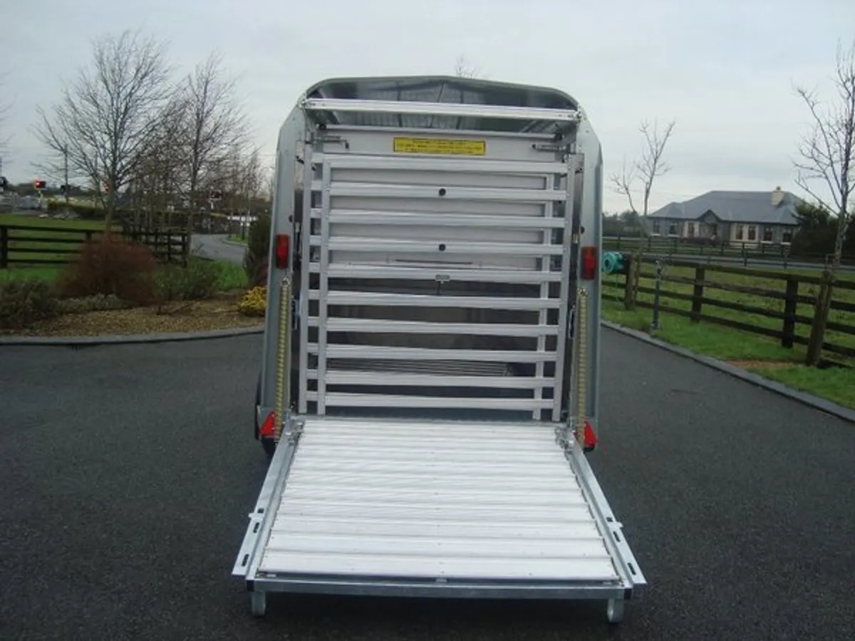 PKS IFOR WILLIAMS 8'X5'.LIVESTOCK TRAILER - Image 4