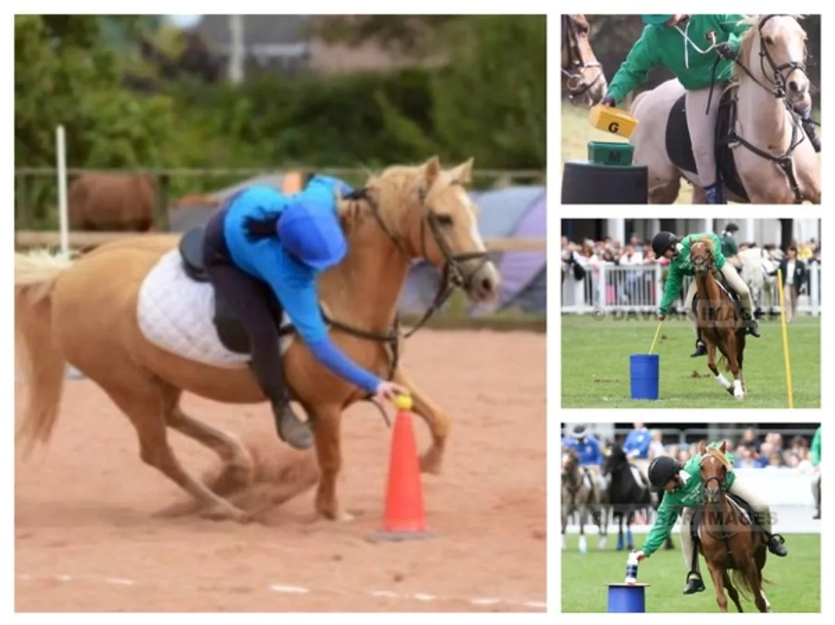 MOUNTED (PONY) GAMES EQUIPMENT