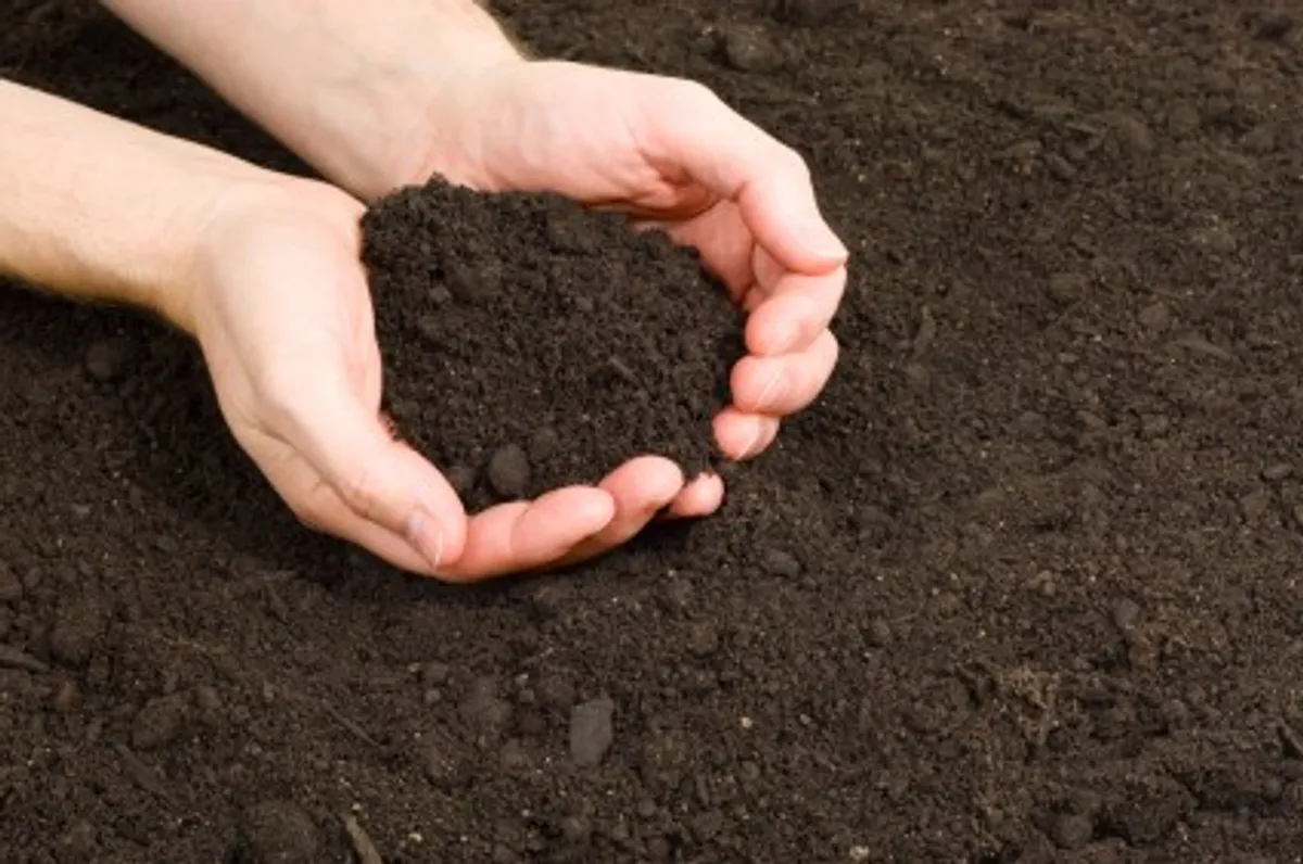 Top Soil with added fertiliser - Image 1