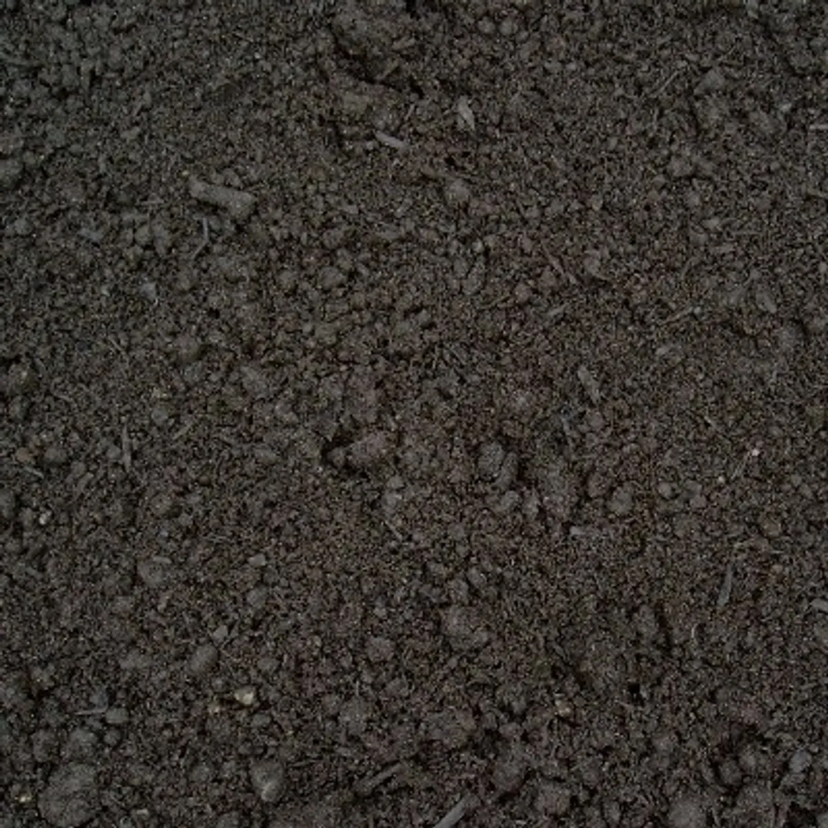 Top Soil with added fertiliser - Image 3