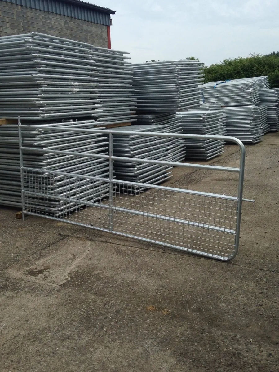 Buffalo steel products.heavy duty field gates - Image 2