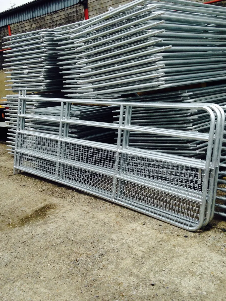 Buffalo steel products.heavy duty field gates - Image 3