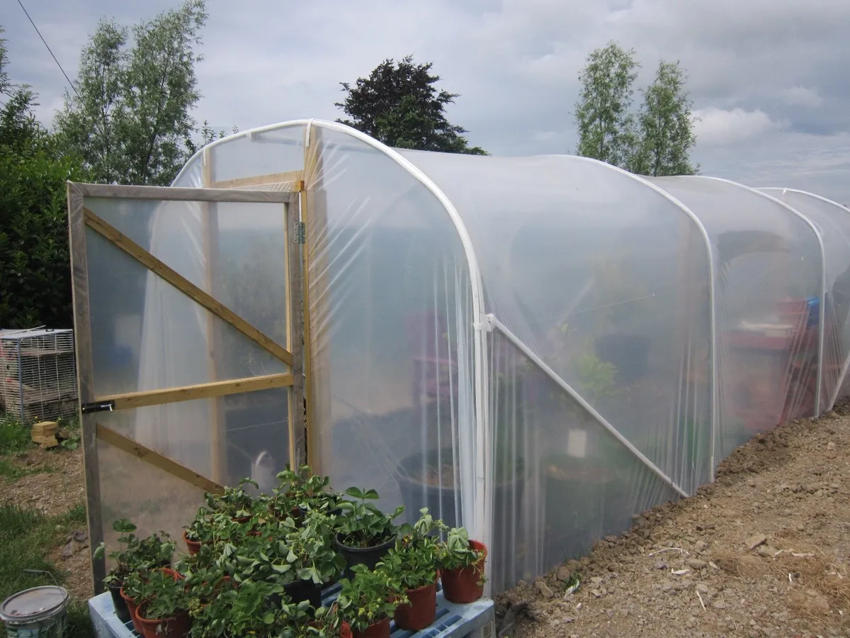 11ft wide  Polytunnel - Image 4