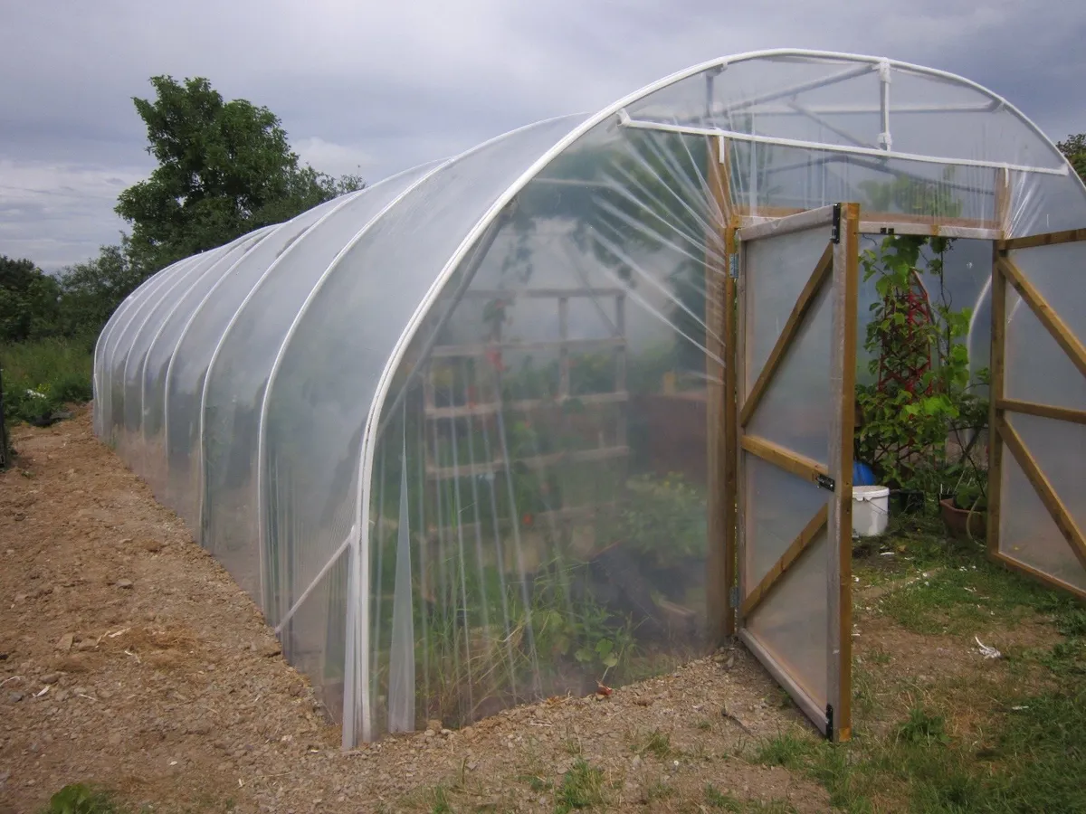 19ft wide polytunnels , SPECIAL OFFER ON DIGGING - Image 1