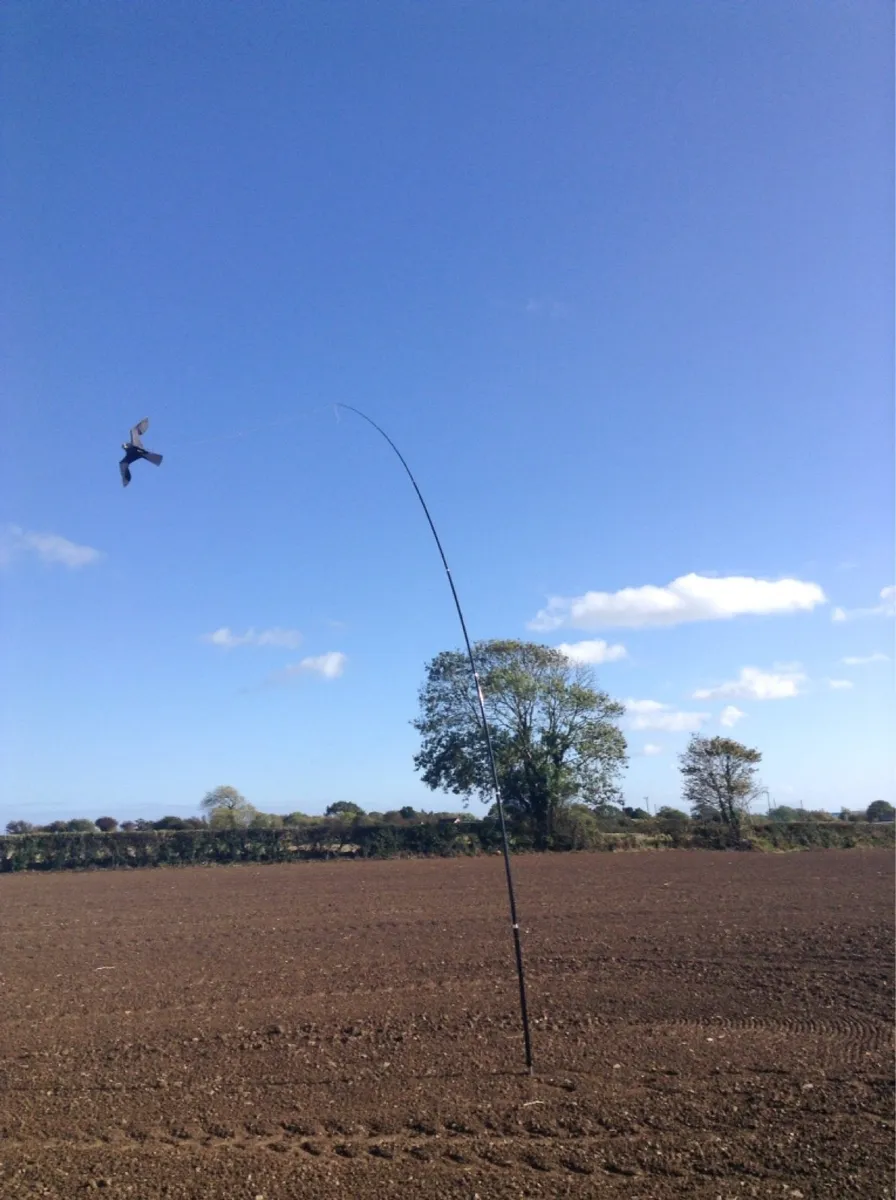 Crows and pigeons destroying your crops????? - Image 2