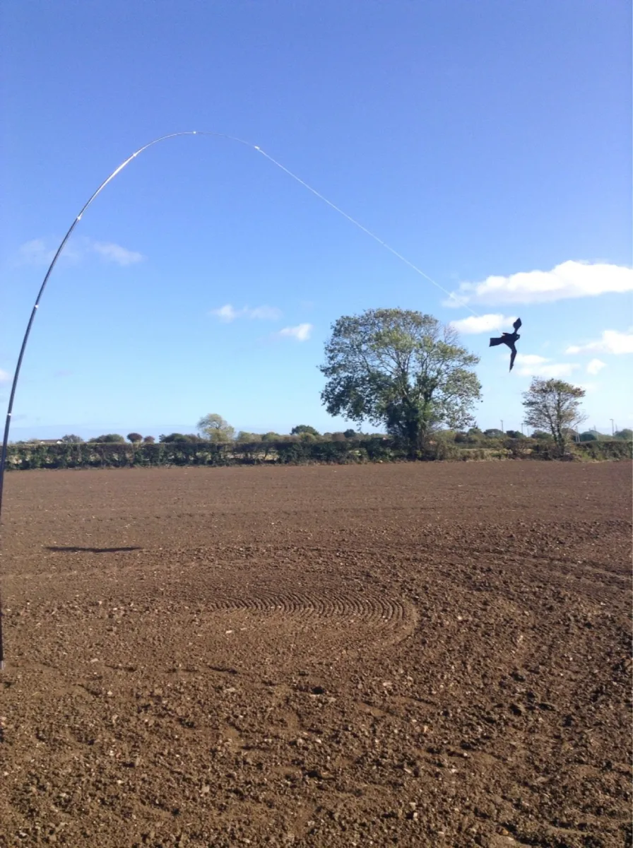 Crows and pigeons destroying your crops????? - Image 4