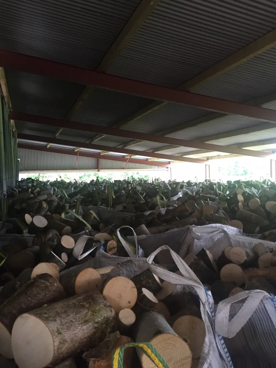Hardwood Firewood (Ash) Top Quality Firewood - Image 4