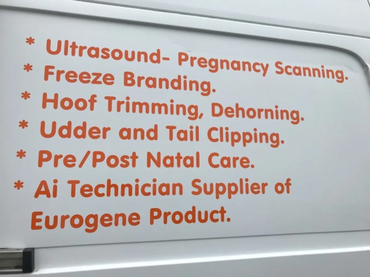 Ultrasound Scanning. - Image 4