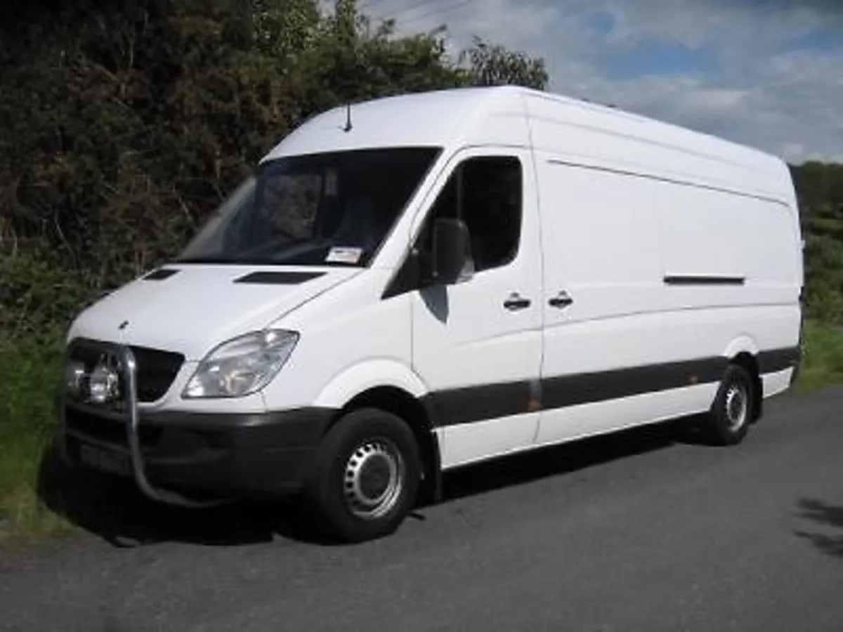 Large van and driver /man and van cork 0868707844 - Image 1