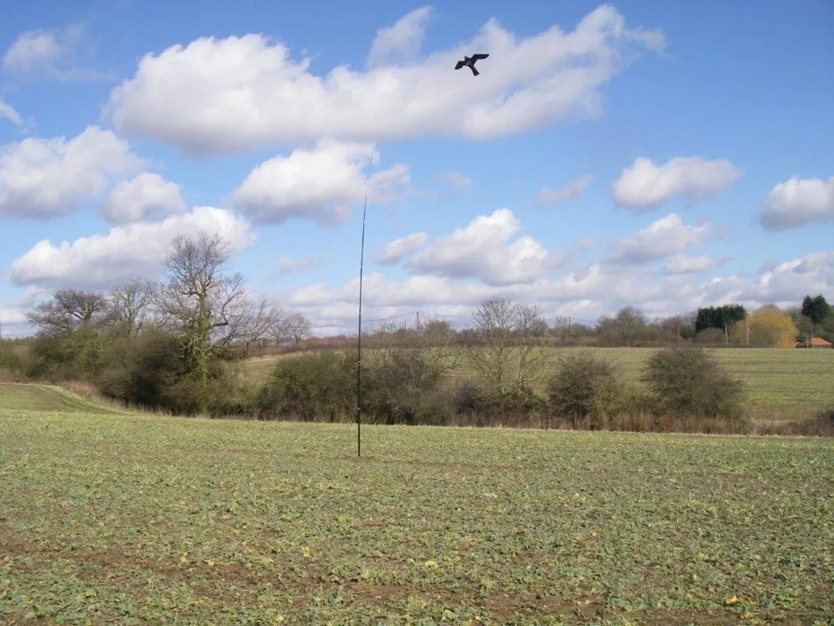 Silent Hawk Kite - Eliminate Pest Birds - Image 3