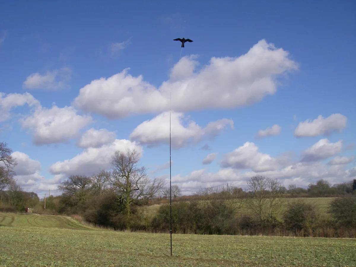 Silent Hawk Kite - Eliminate Pest Birds - Image 4