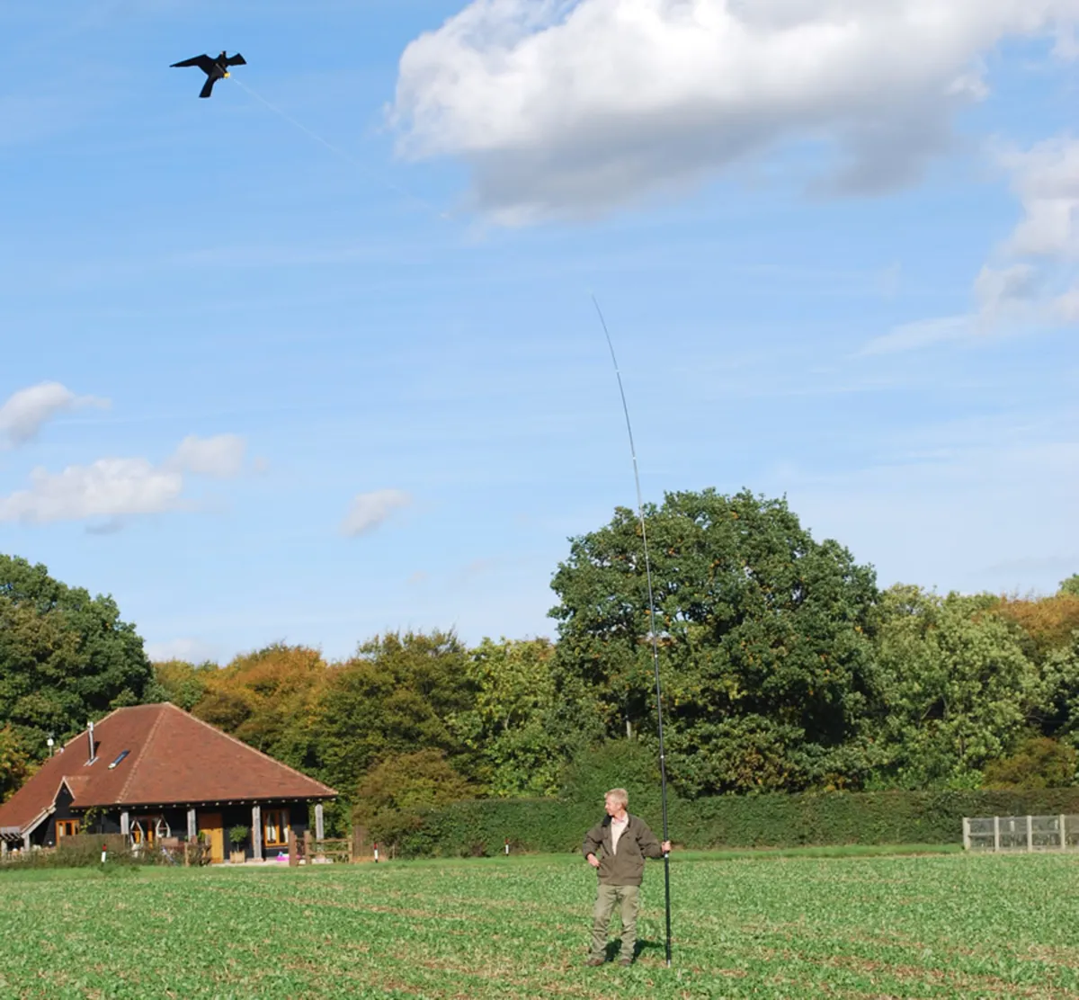 Silent Hawk Kite - Eliminate Pest Birds