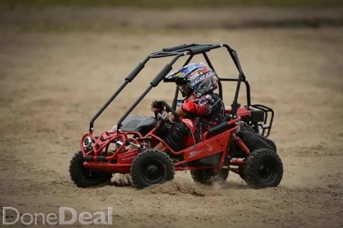 IRELANDS largest range of BUGGIES Kids / adults - Image 4