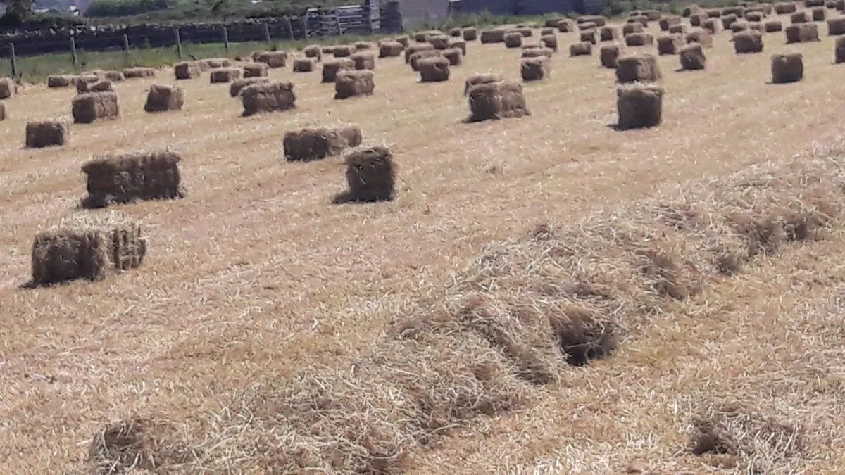 2025 Hay.  2024 Straw & Haylage - Image 1