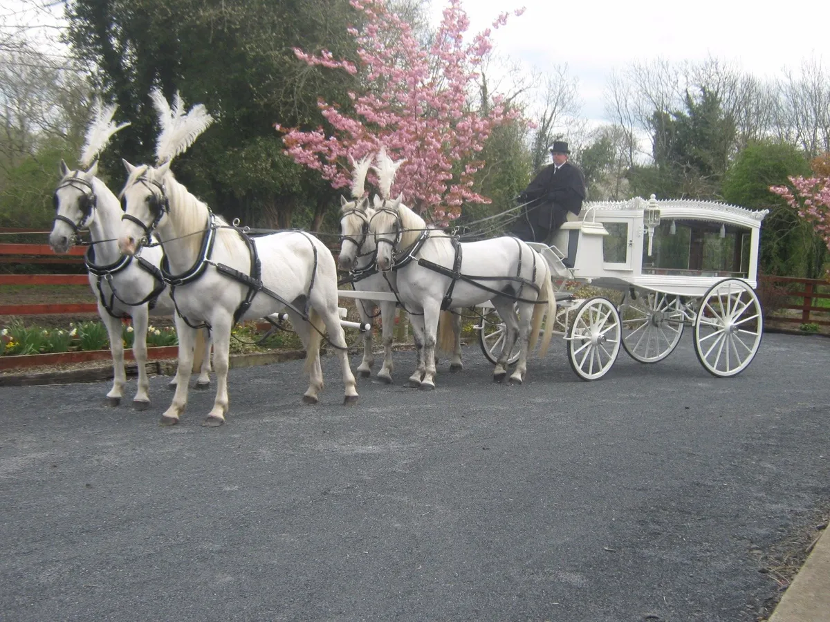 John O Grady Carriage Hire nationwide - Image 1