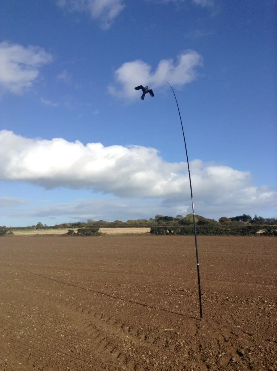 Crows & Pigeons destroying your crops???