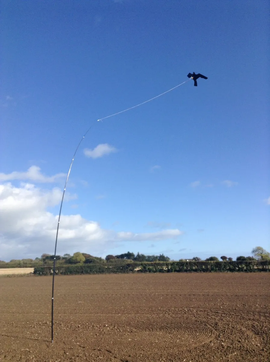 Crows & Pigeons destroying your crops??? - Image 4