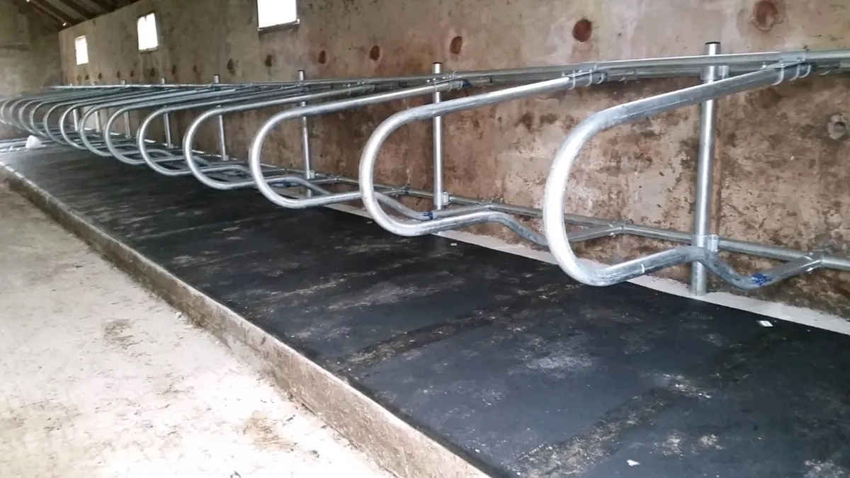 CATTLE SLATS / CUBICLES / FEED BARRIER / MATS - Image 3