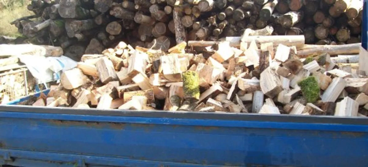 Firewood - Image 4