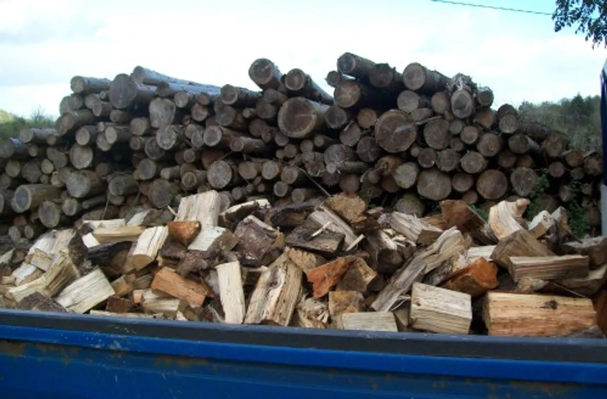 Firewood - Image 2