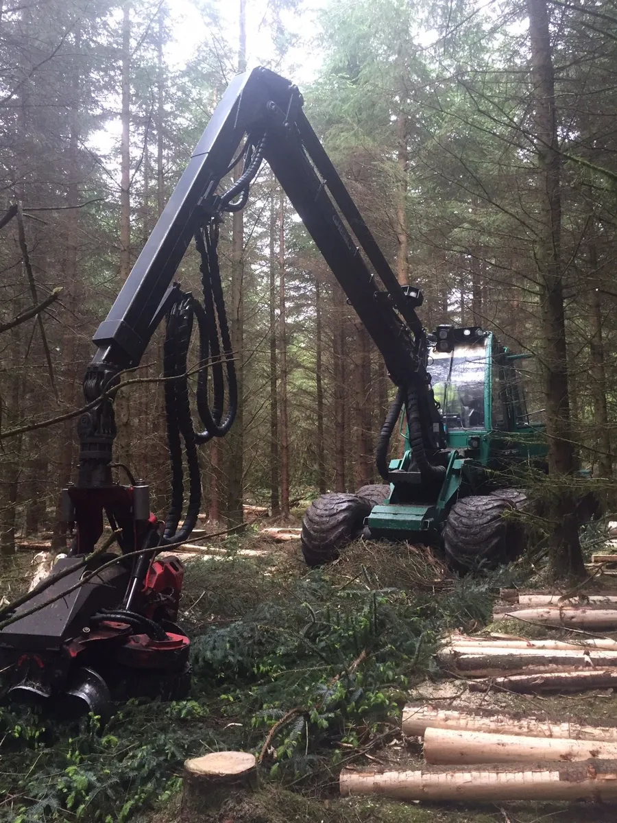 Forestry Wanted Thinning / Clearfell