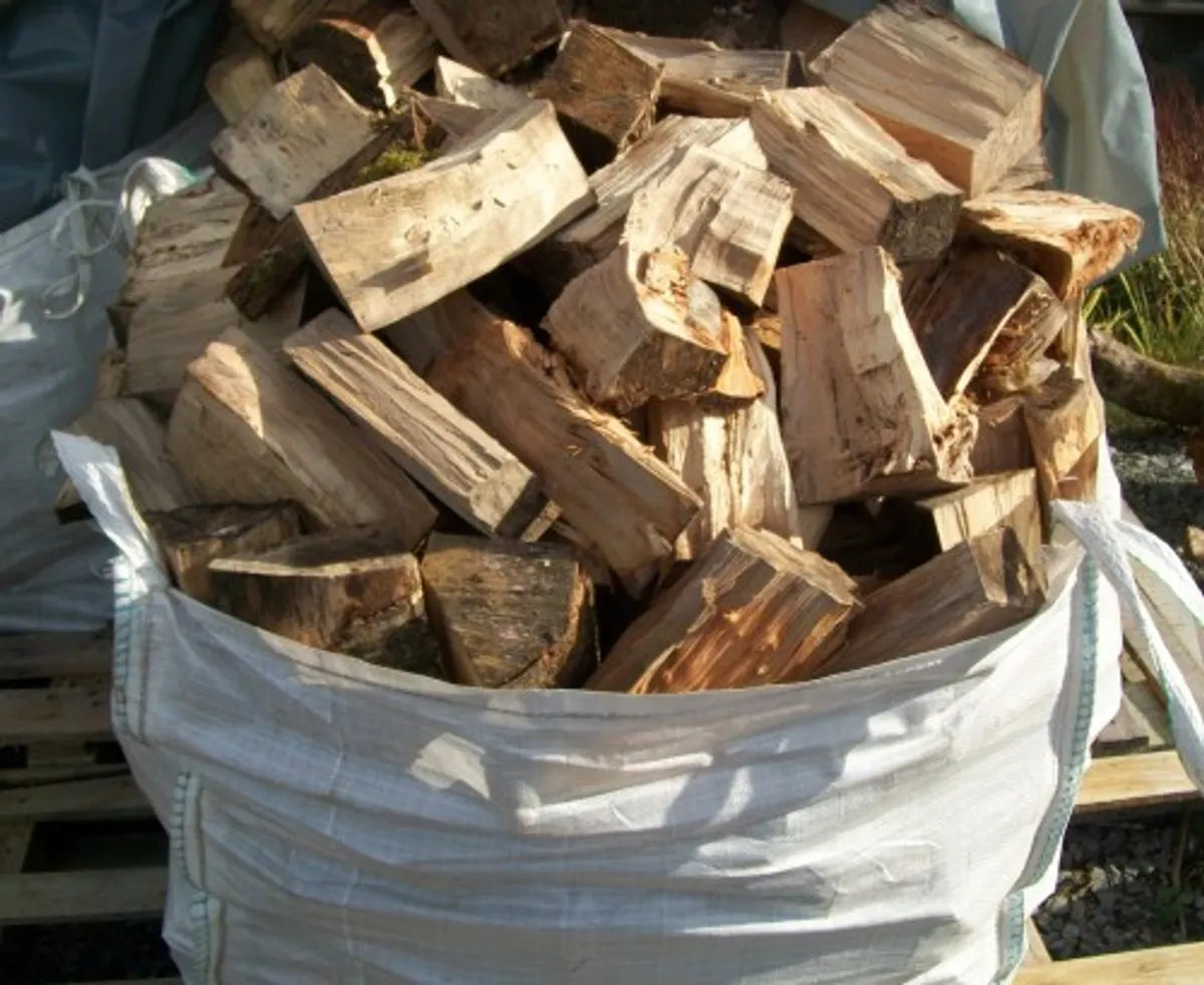 Firewood - Image 3