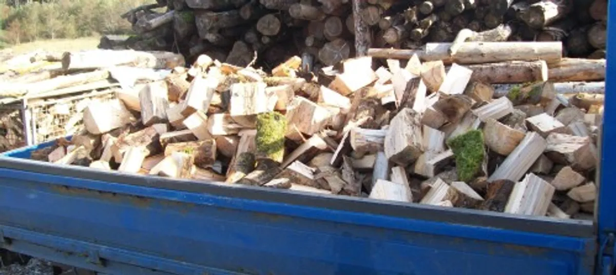 Firewood - Image 1