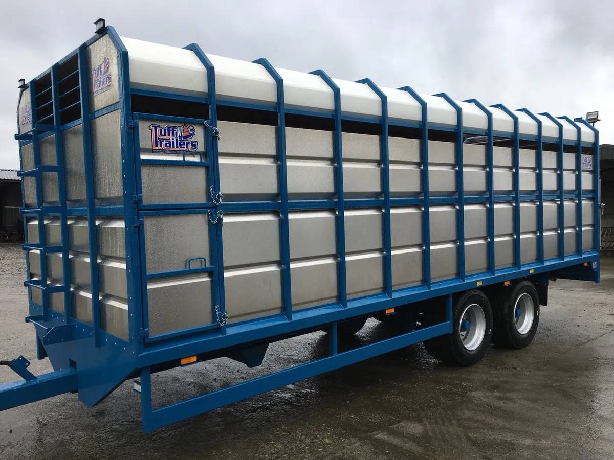 Tuffmac Ifor Williams Nugent livestock trailer - Image 2